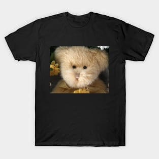 Sabrina T-Shirt